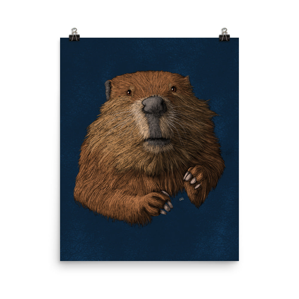 Beaver Art Print