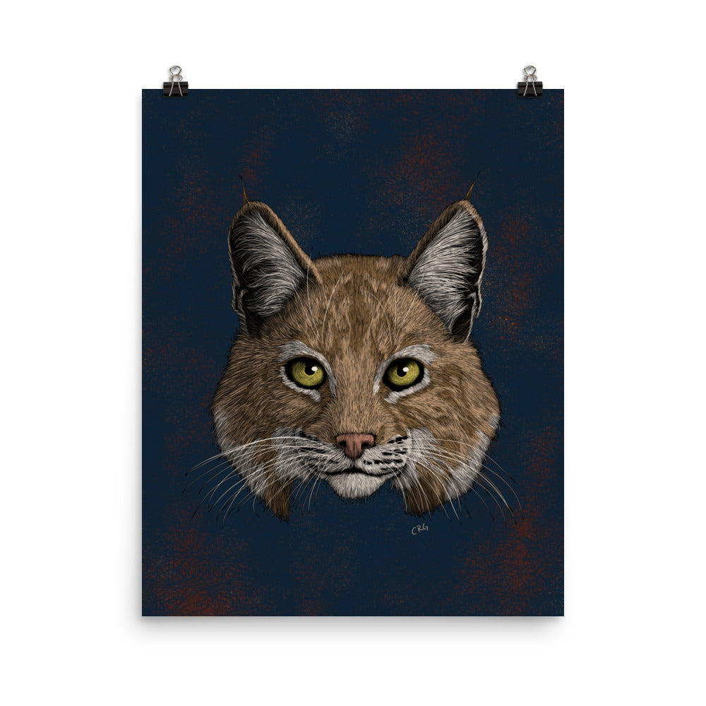 Bobcat Art Print