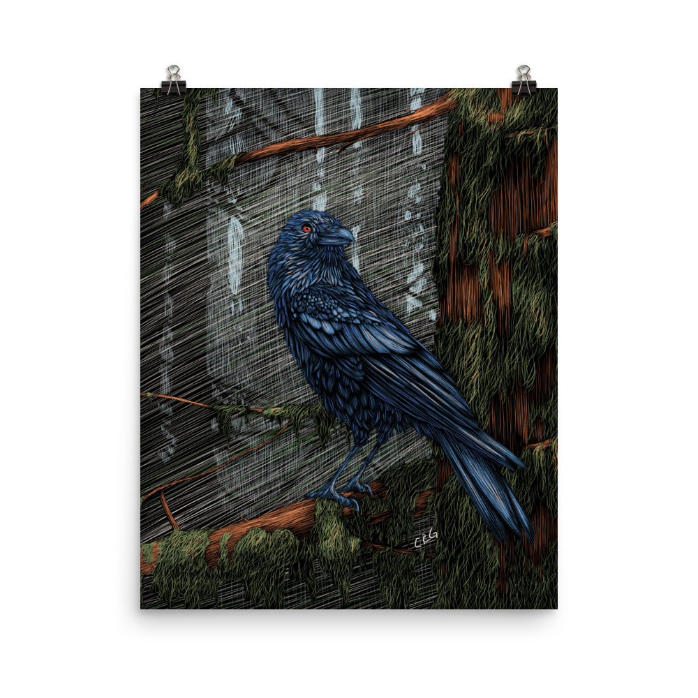 Mysterious Raven Art Print
