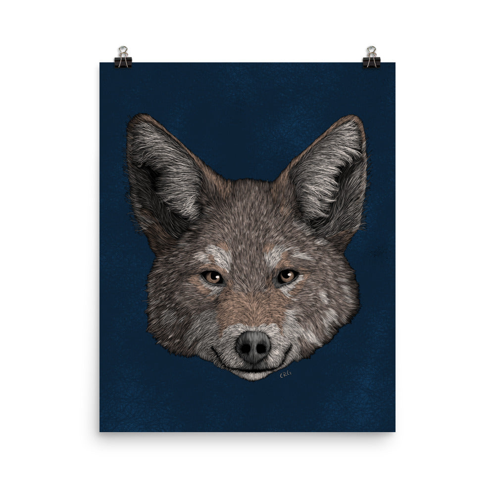 Coyote Art Print