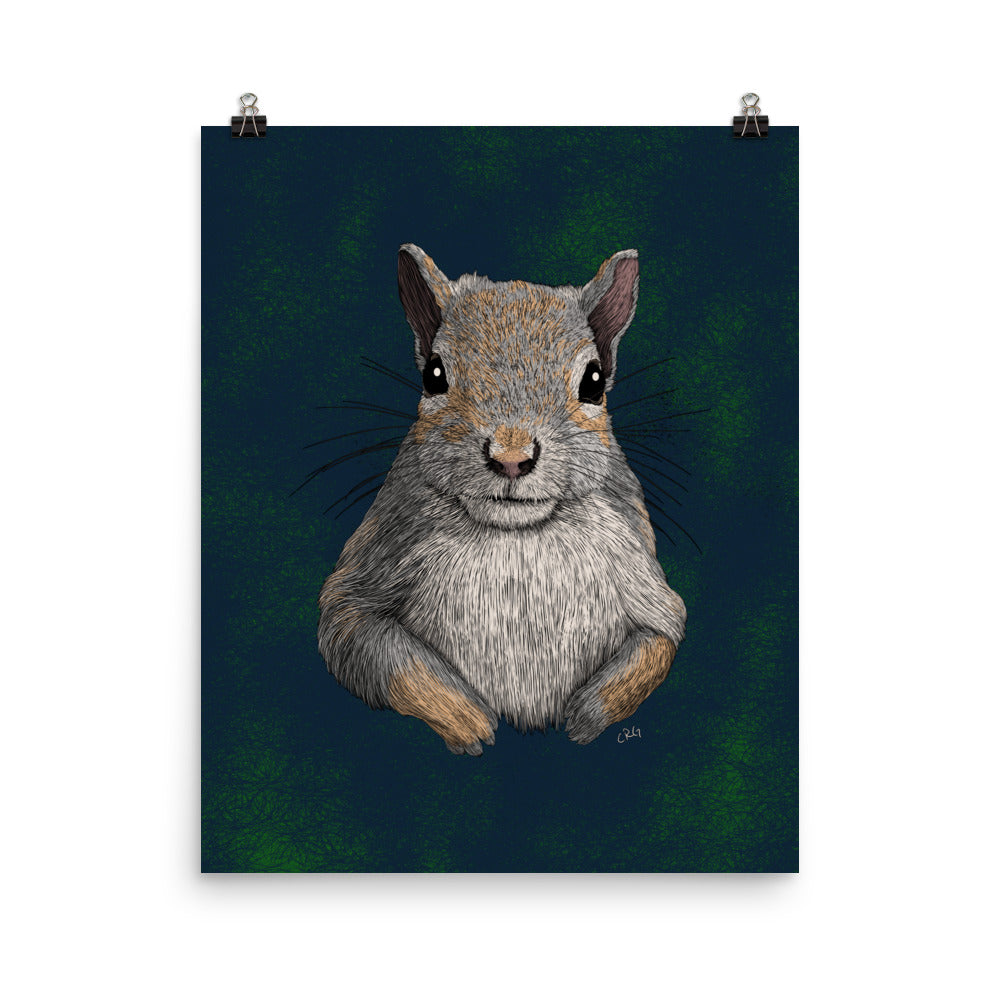 Squirrel Art Print