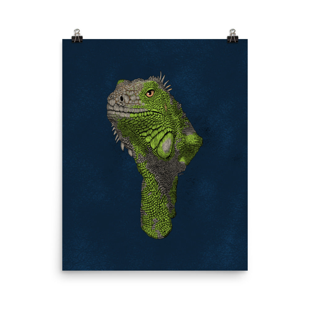Iguana Art Print