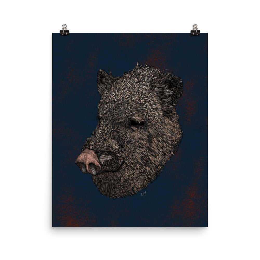 Javelina Art Print