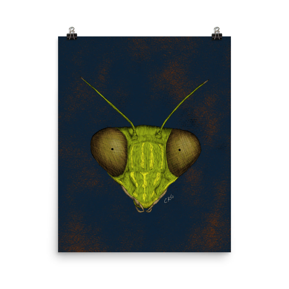 Praying Mantis Art Print