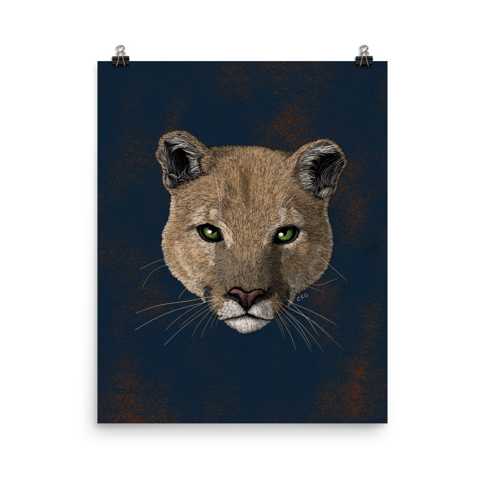 Mountain Lion Art Print