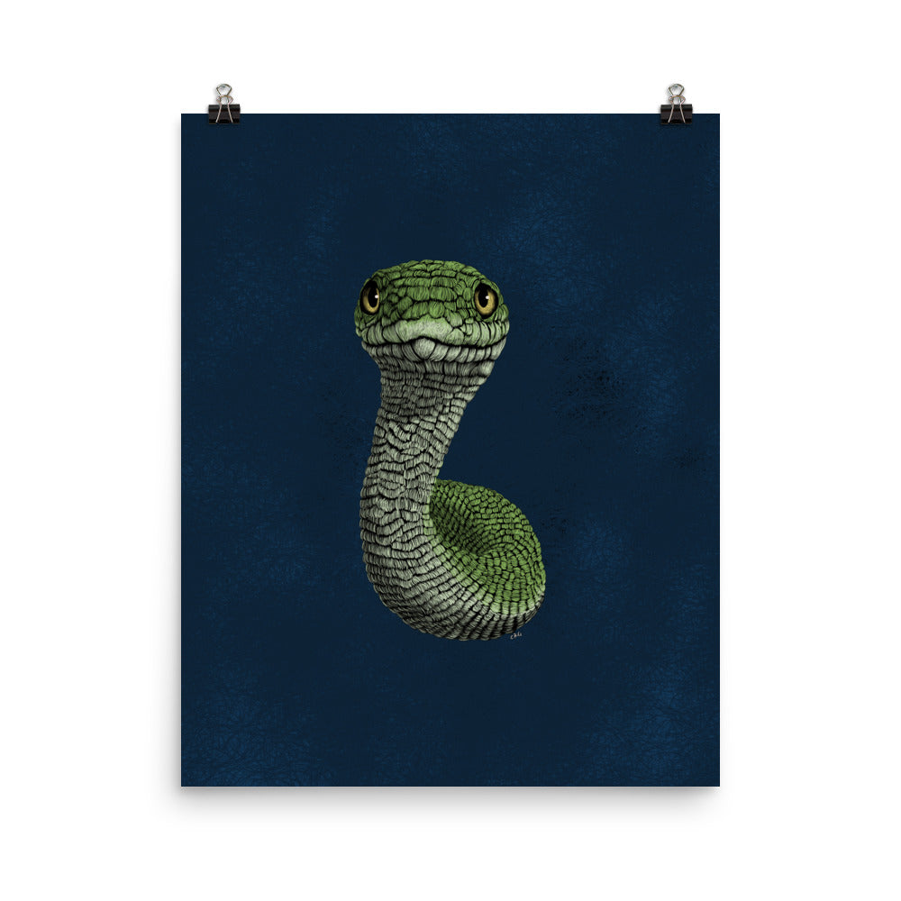Smooth Green Snake Art Print