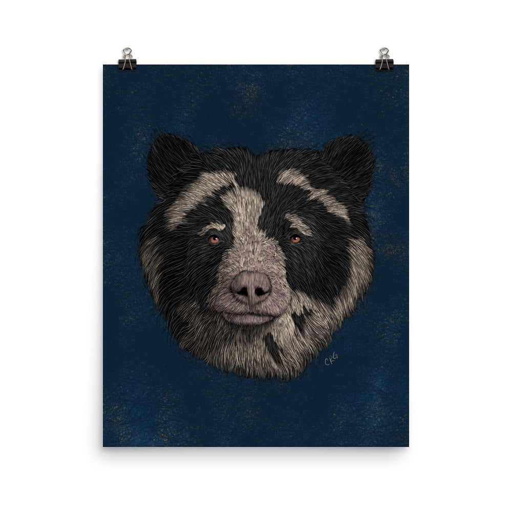 Spectacled Bear Art Print