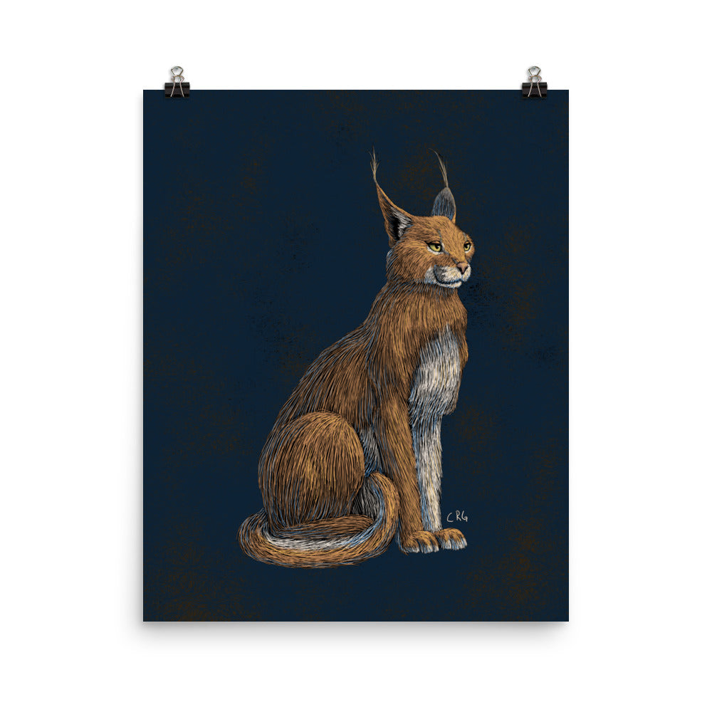 Regal Caracal Art Print