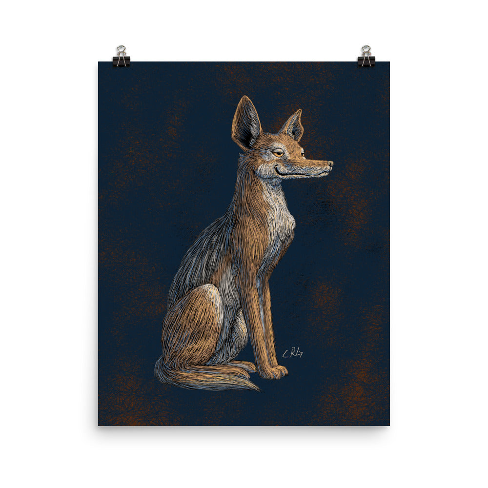 Savvy Jackal Art Print