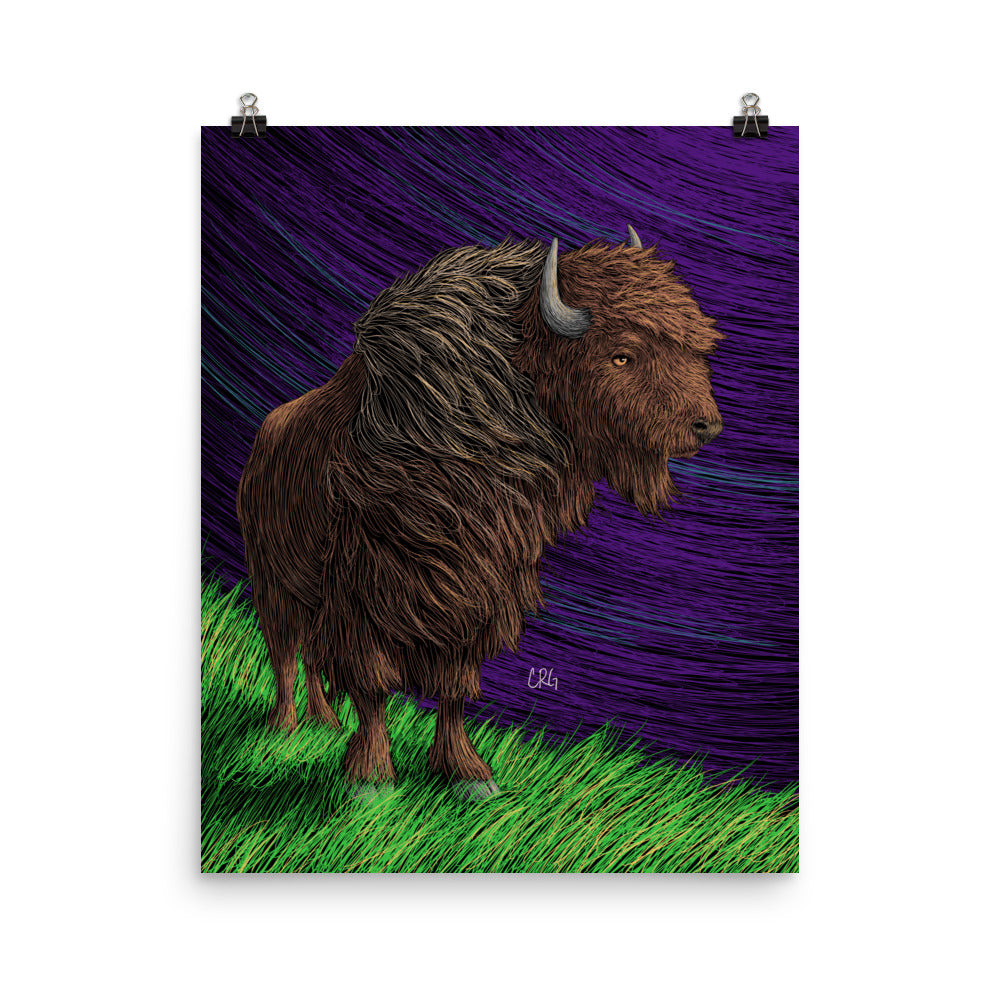 Bison Art Print