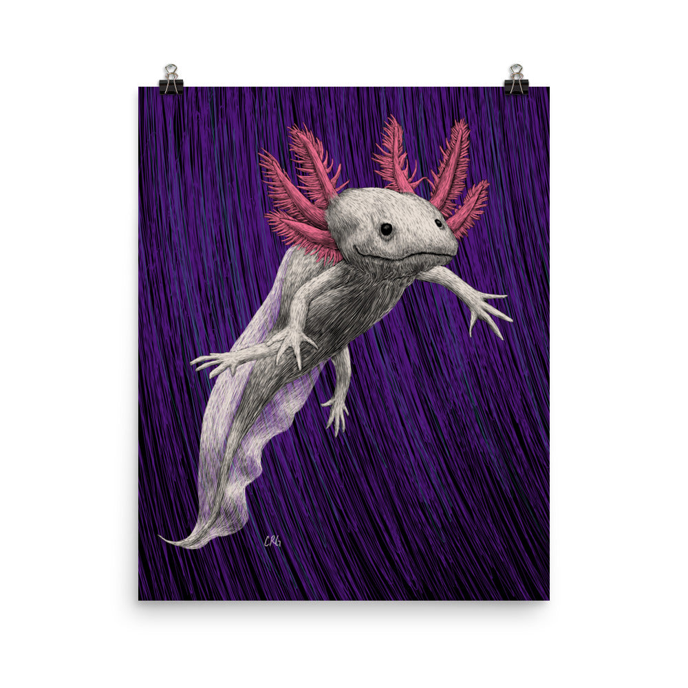 Axolotl Art Print