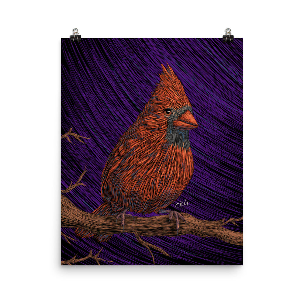 Cardinal Art Print