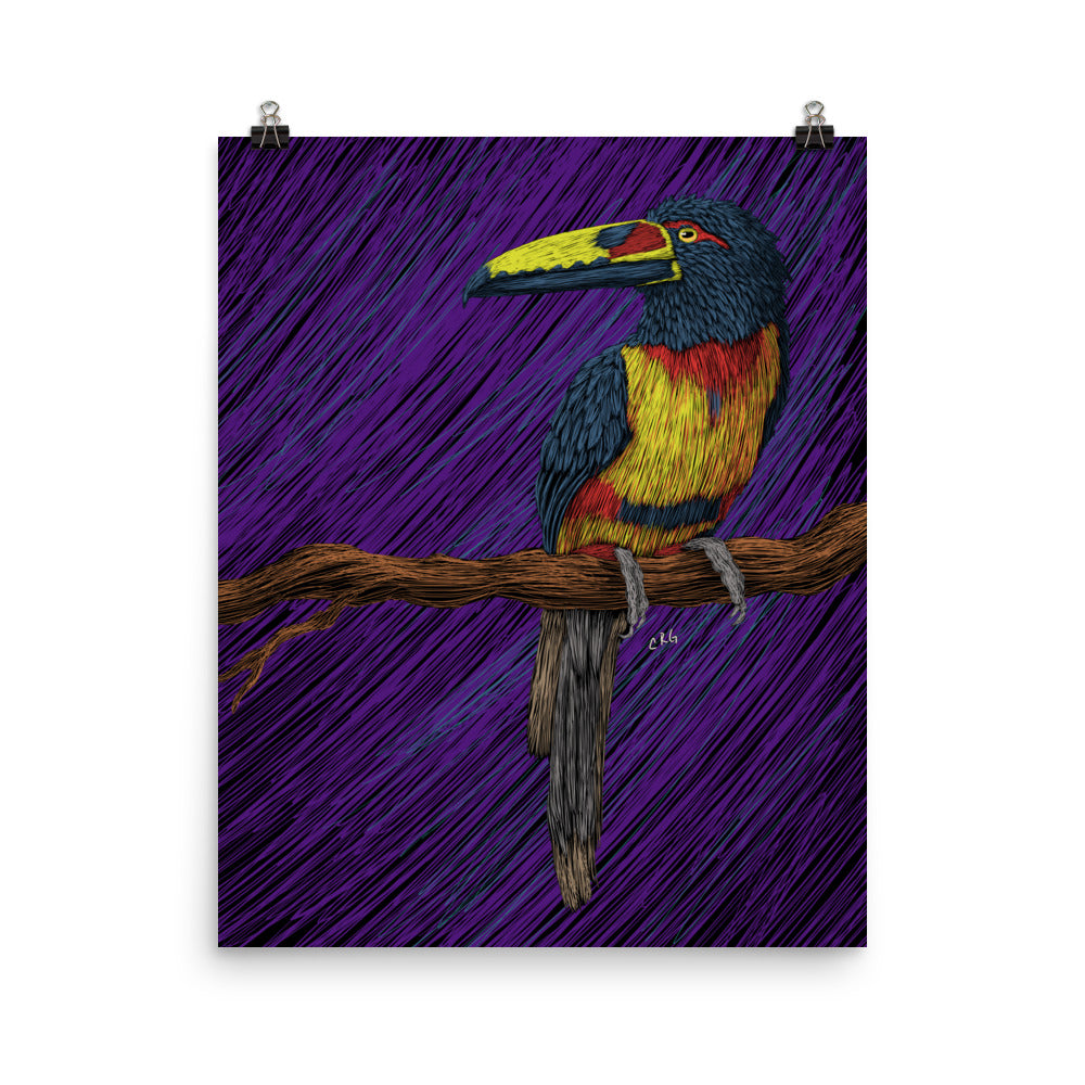Toucan Art Print