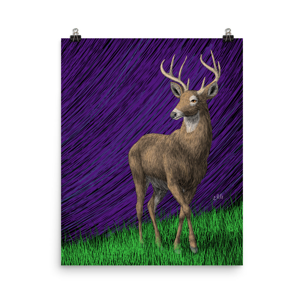 Deer Art Print