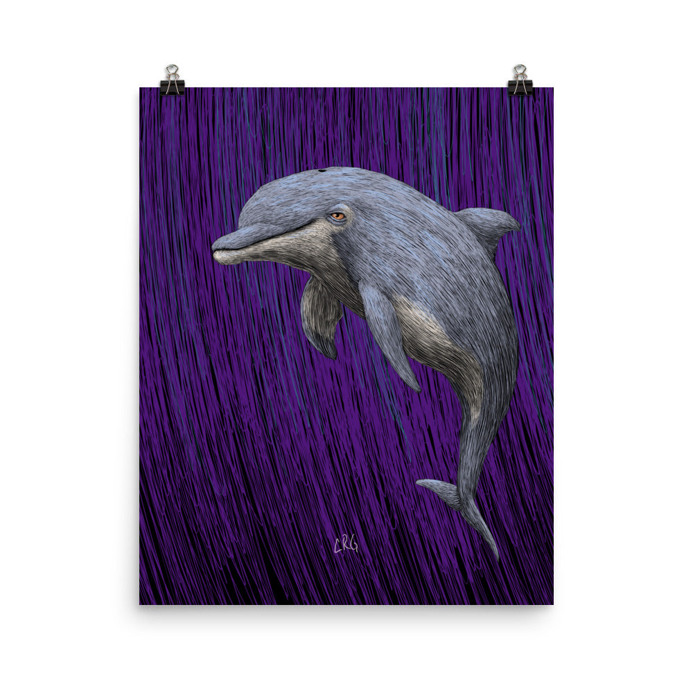Dolphin Art Print