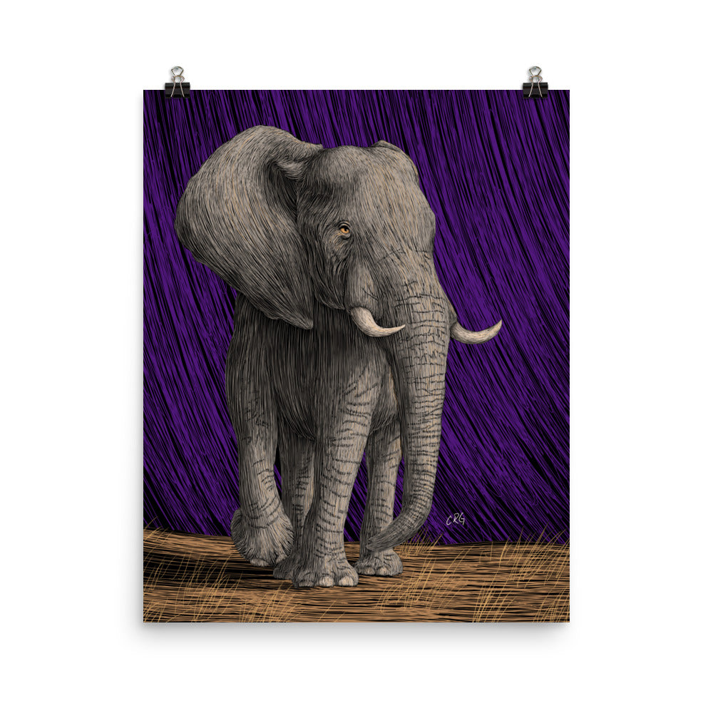 Elephant Art Print