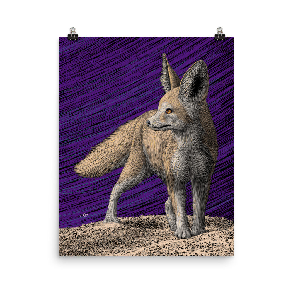 Fennec Fox Art Print