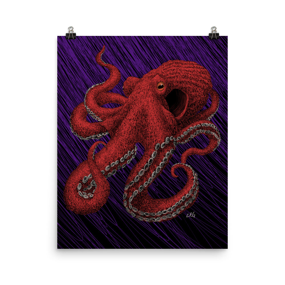 Octopus Art Print