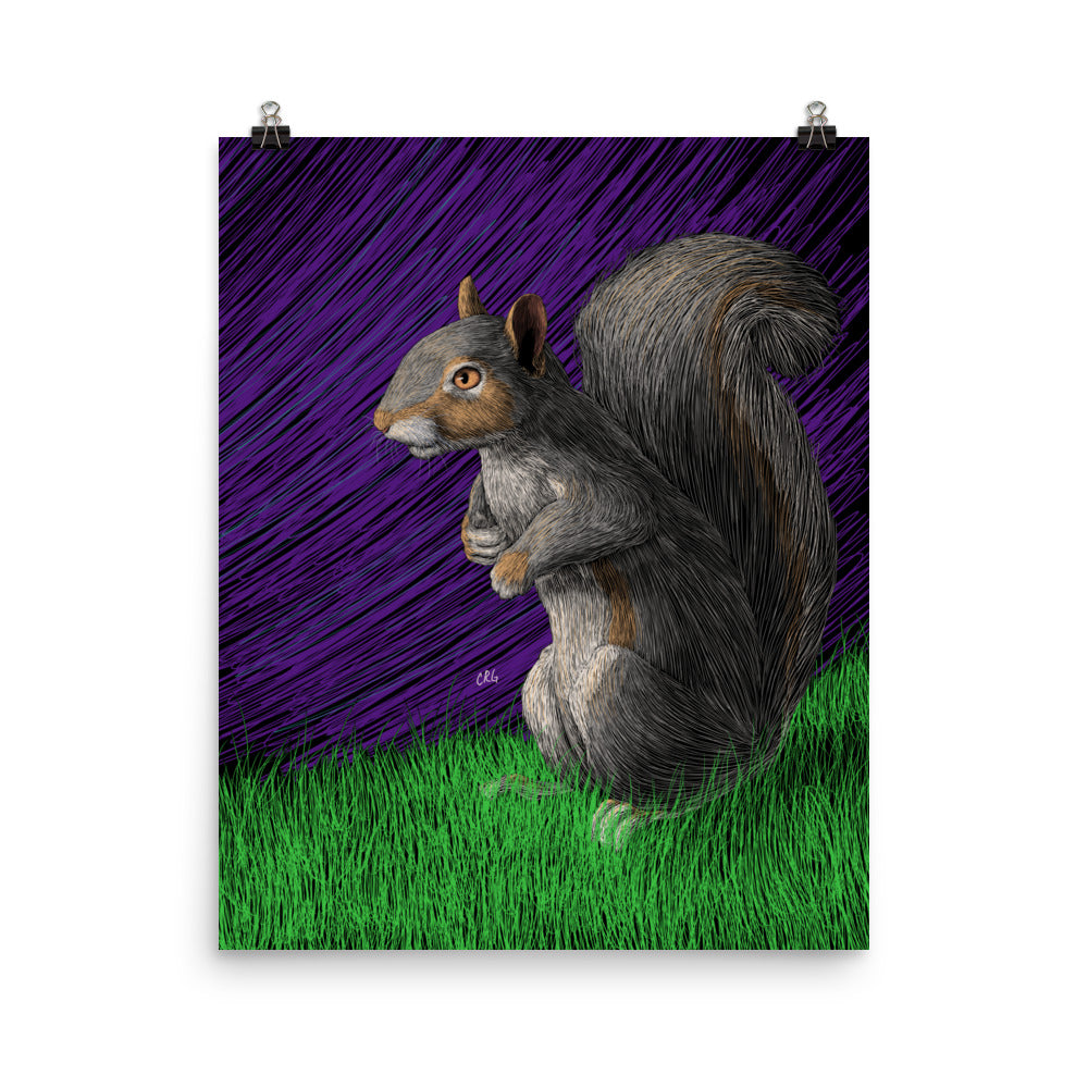 Squirrel Art Print