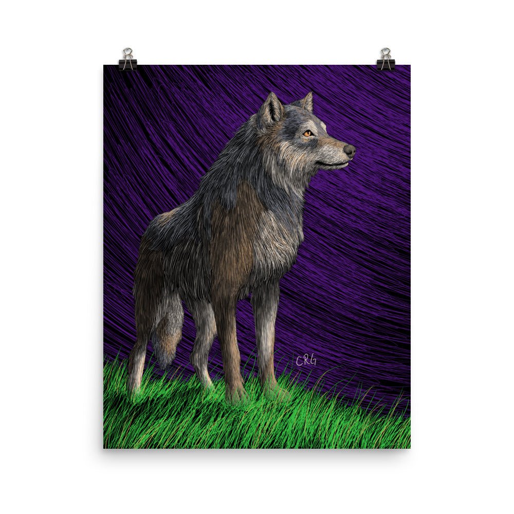 Gray Wolf Art Print