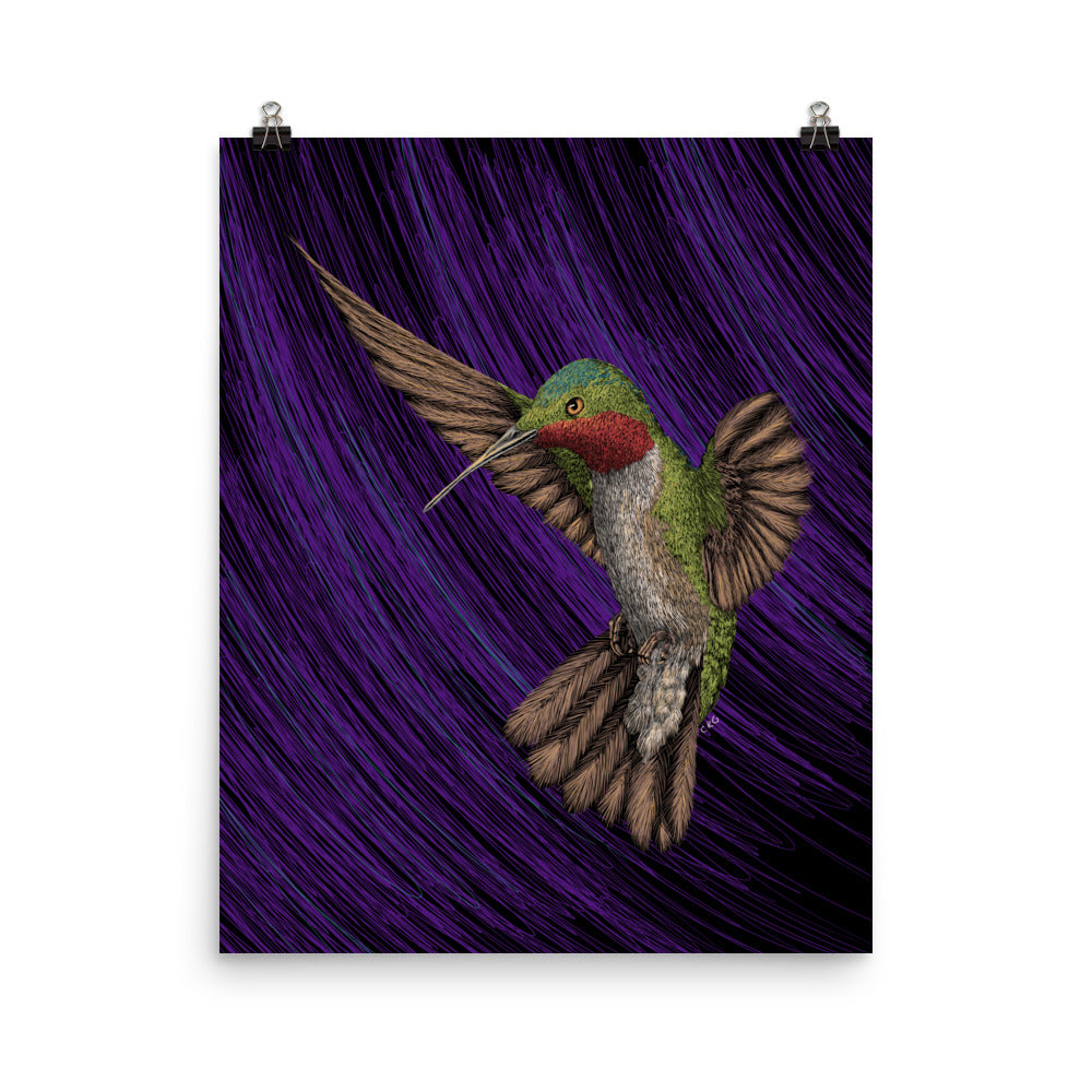 Hummingbird Art Print