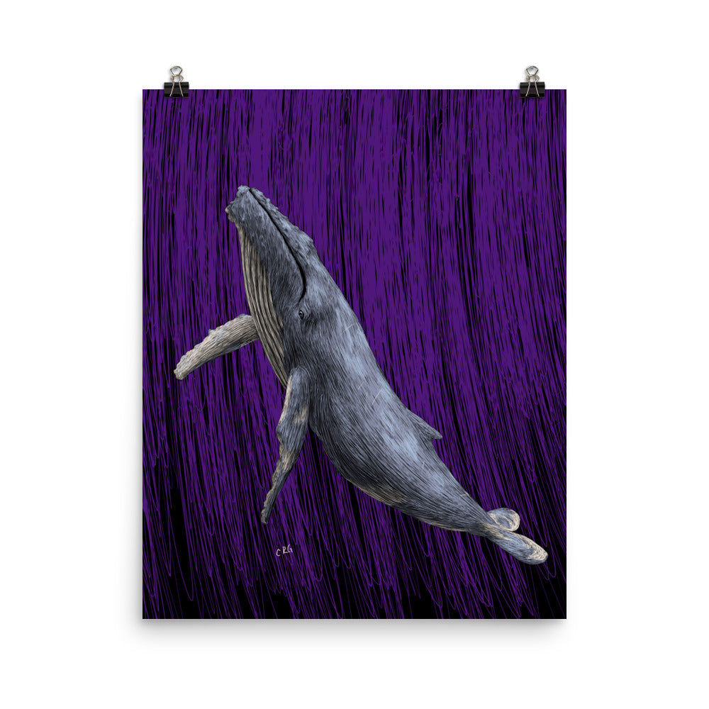 Whale Art Print