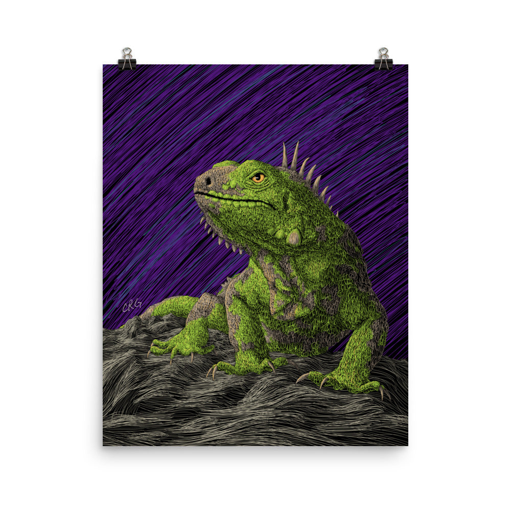 Iguana Art Print