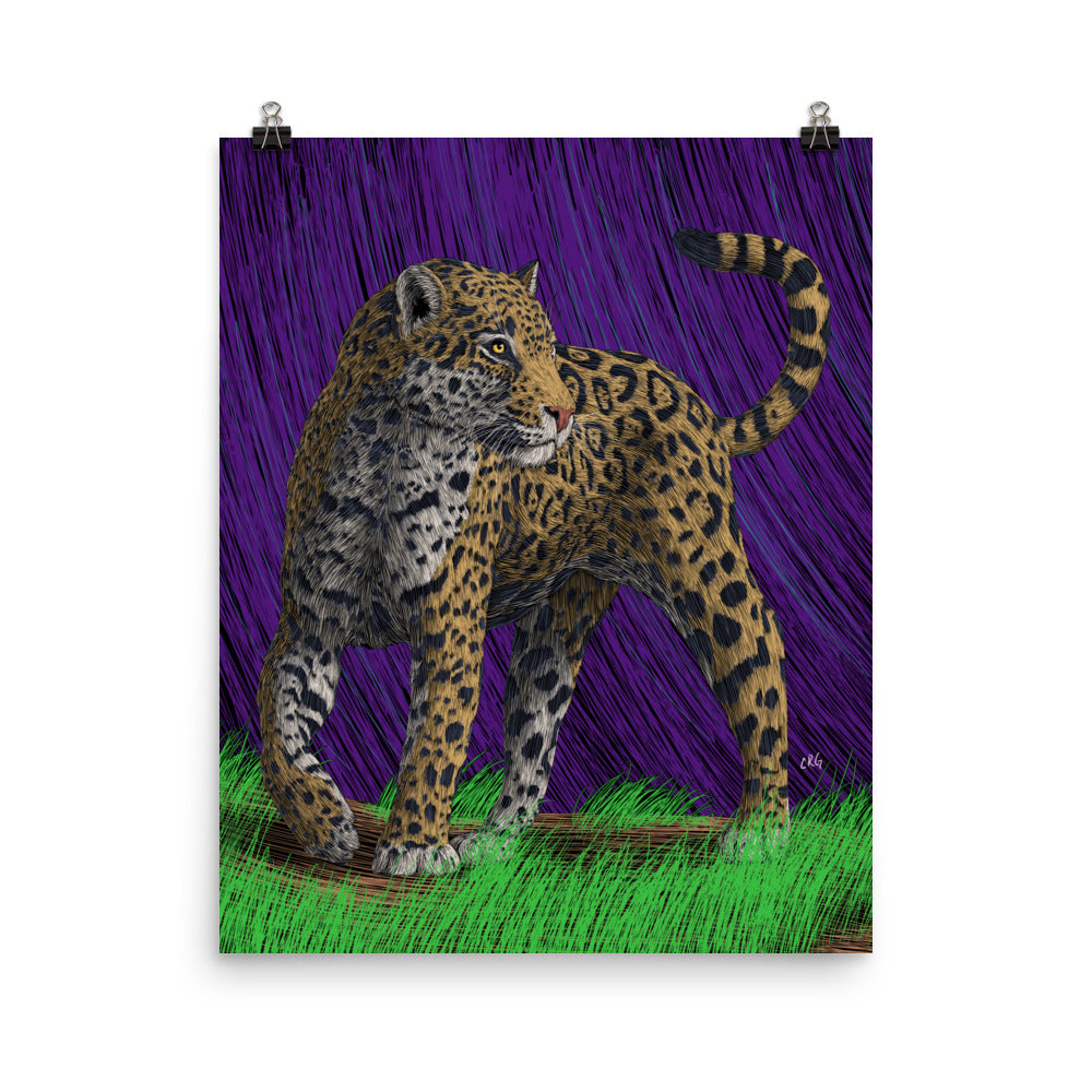 Jaguar Art Print