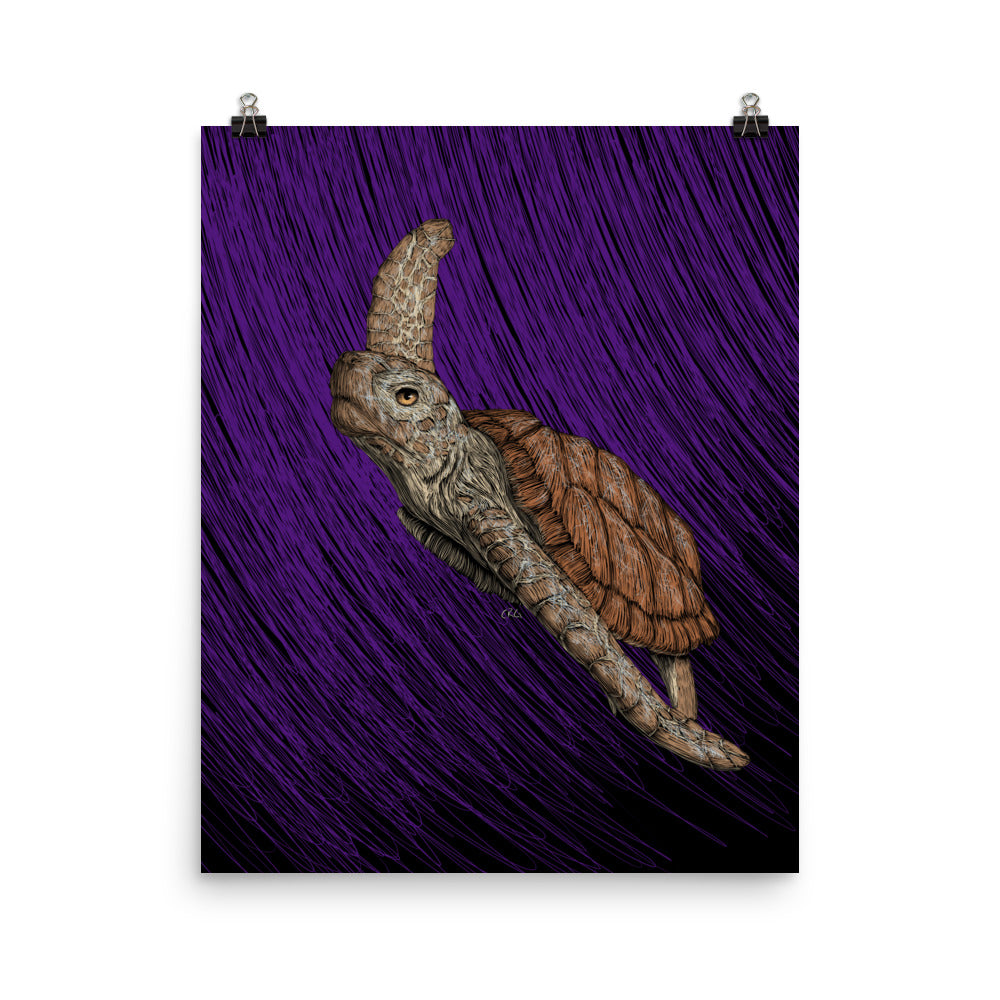 Turtle Art Print