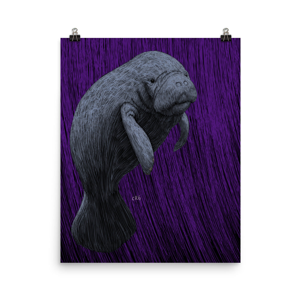 Manatee Art Print