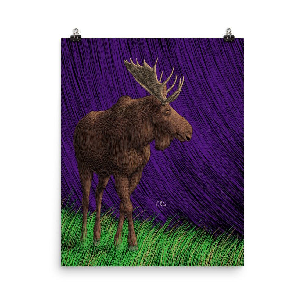 Moose Art Print