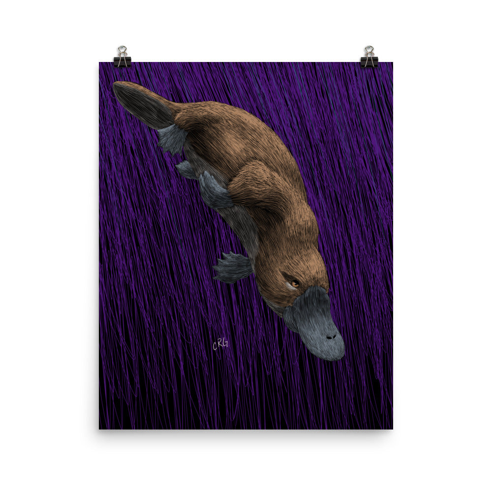 Platypus Art Print