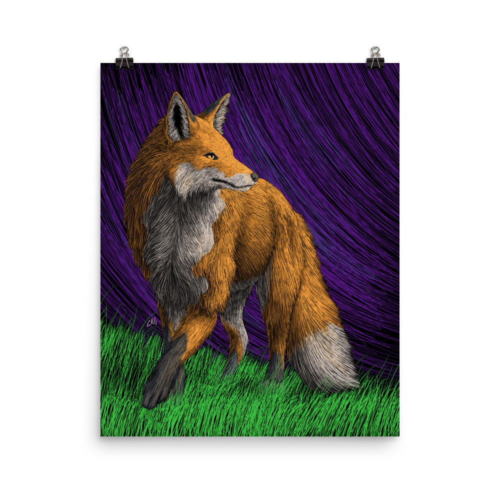 Red Fox Art Print