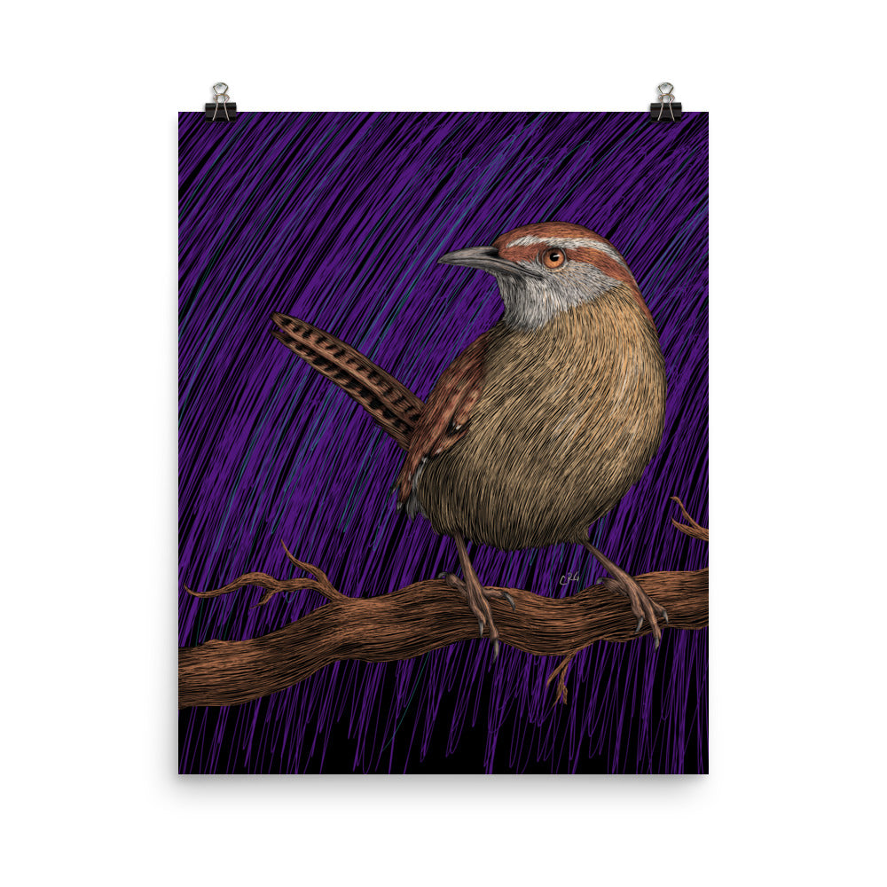 Wren Art Print