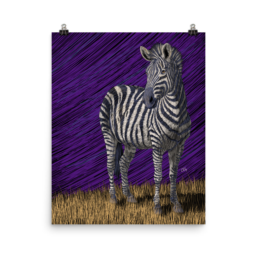 Zebra Art Print