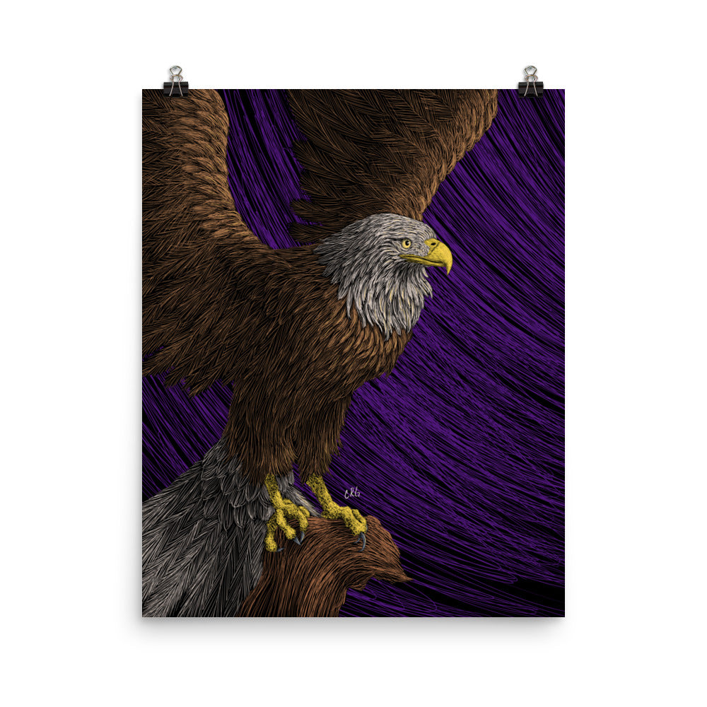 Bald Eagle Art Print