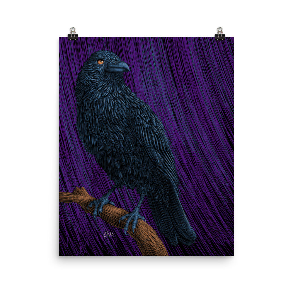Raven Art Print