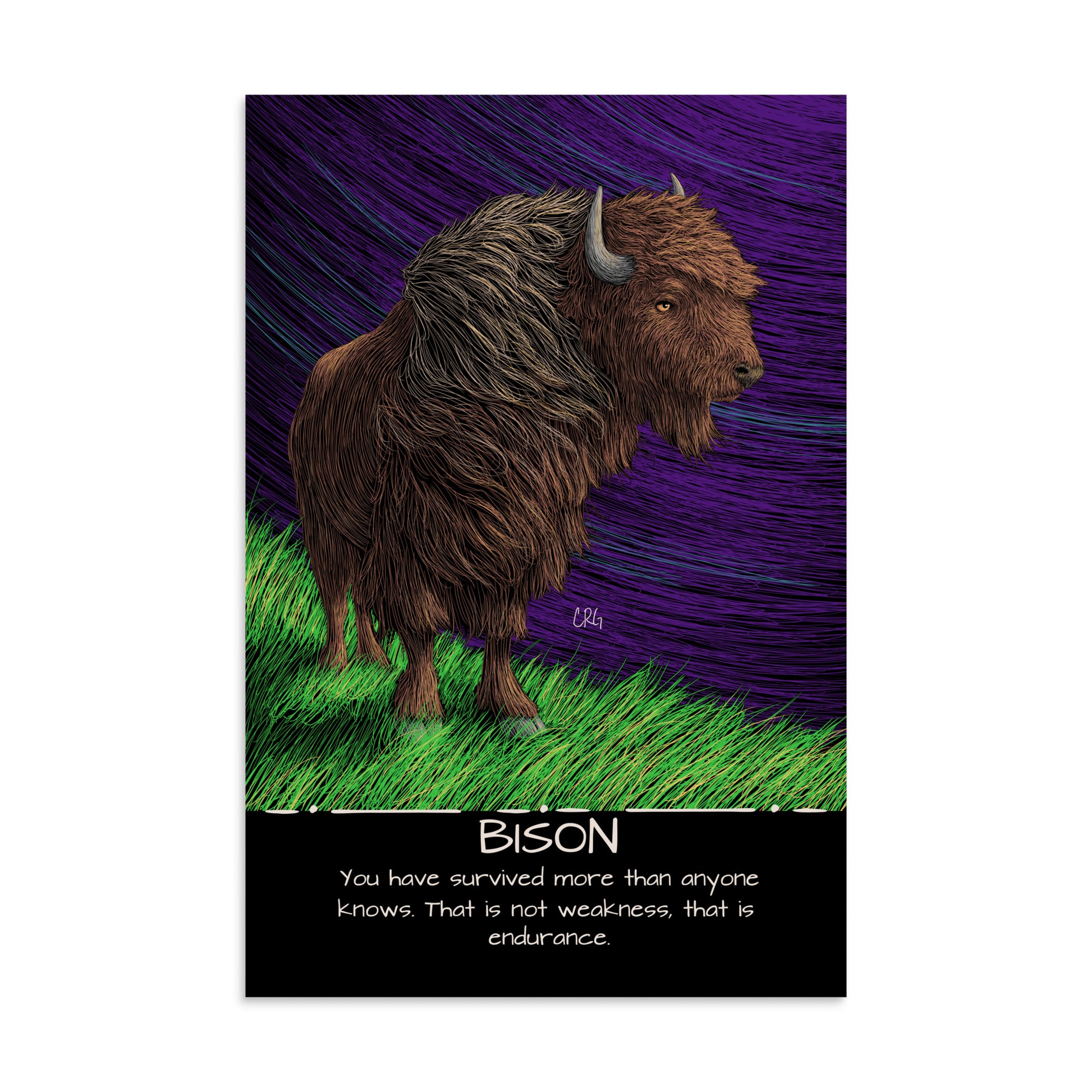 Bison Art Print