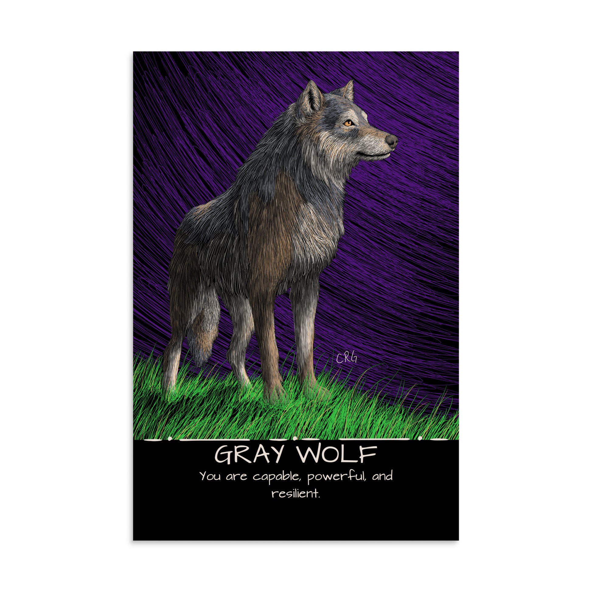Gray Wolf Art Print