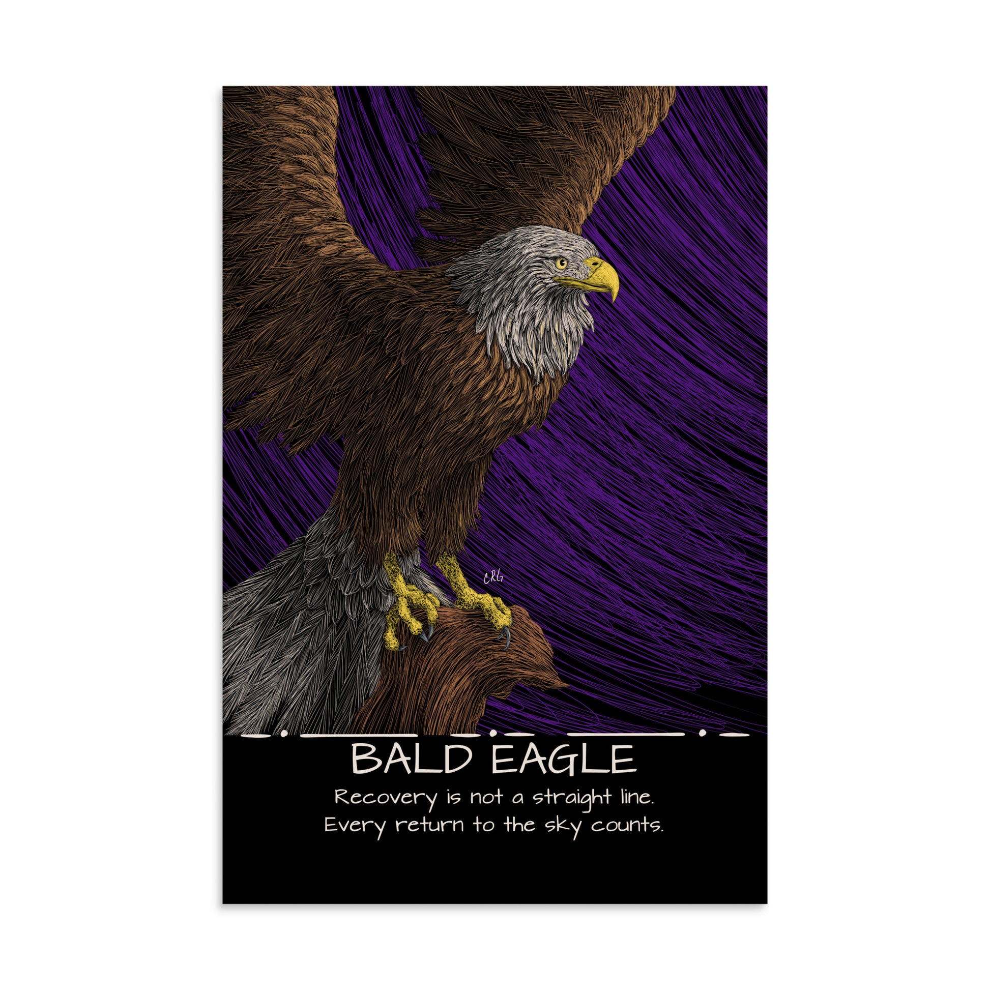 Bald Eagle Art Print