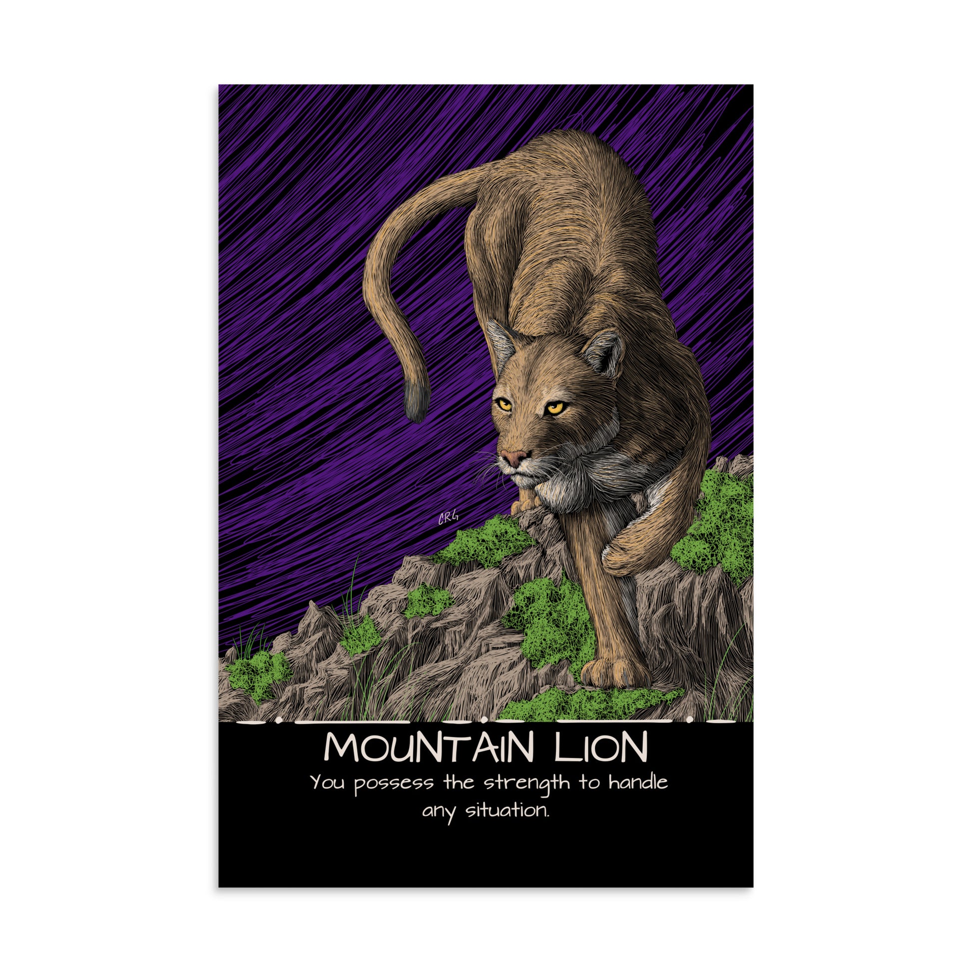 Mountain Lion Art Print