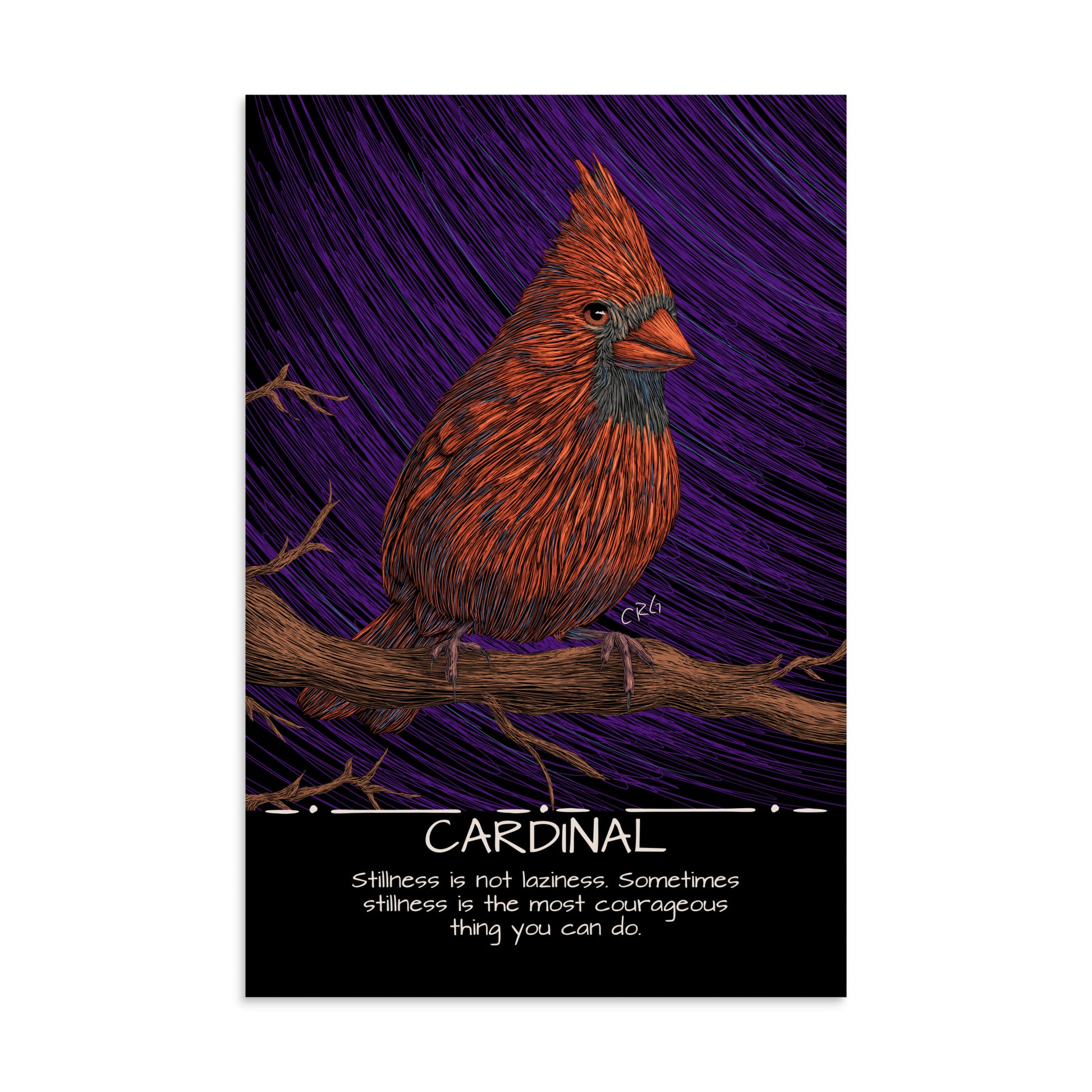 Cardinal Art Print