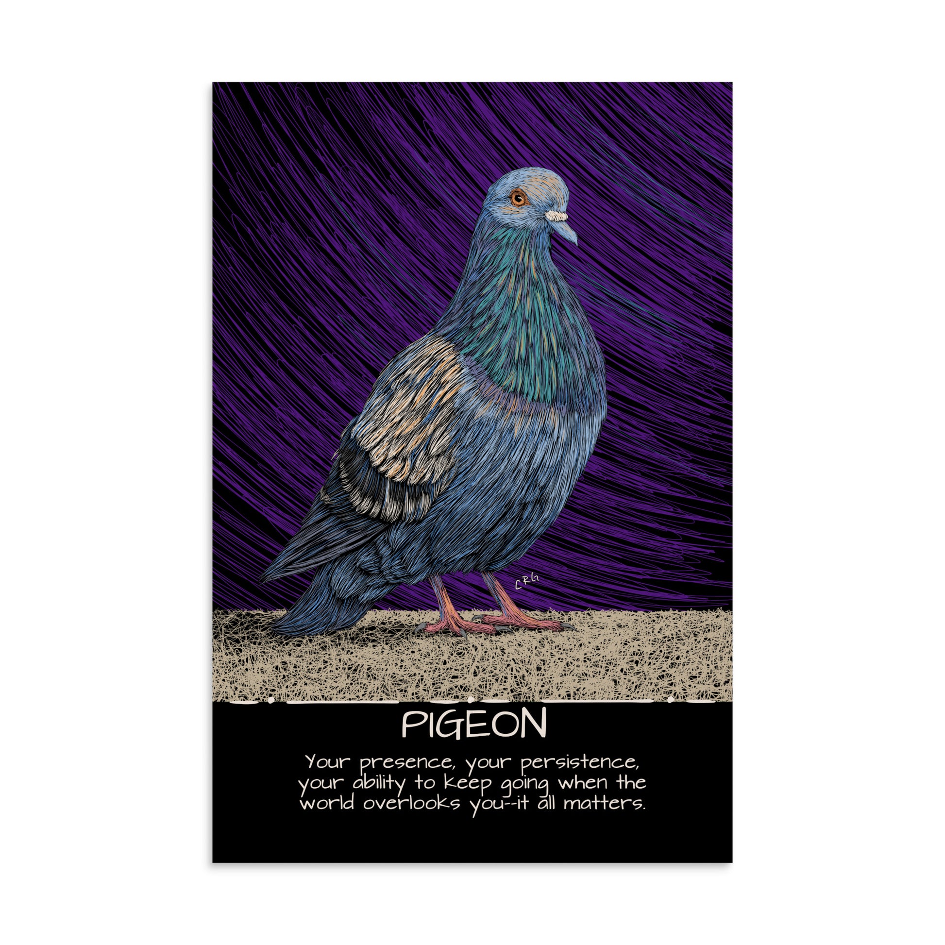 Pigeon Art Print