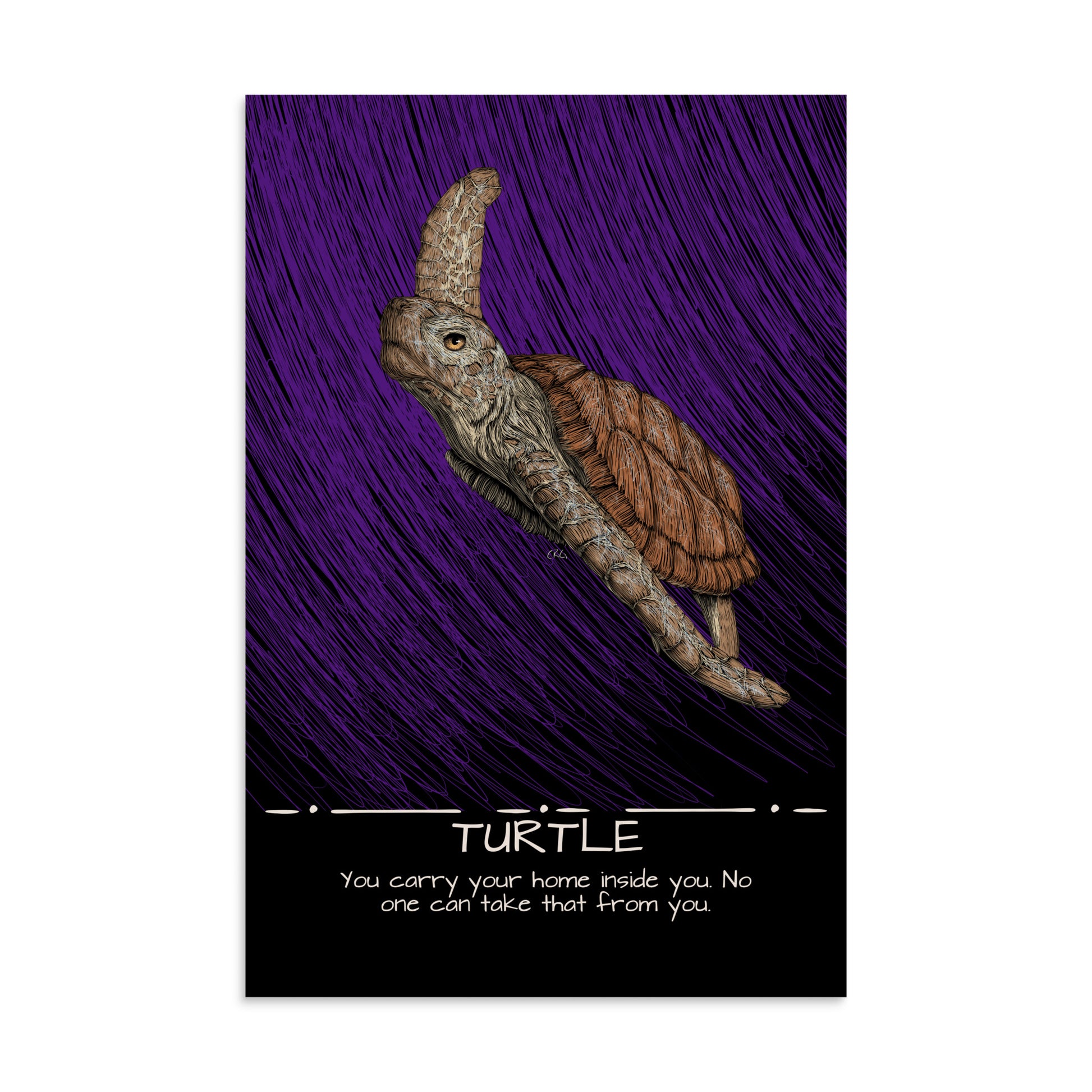 Turtle Art Print