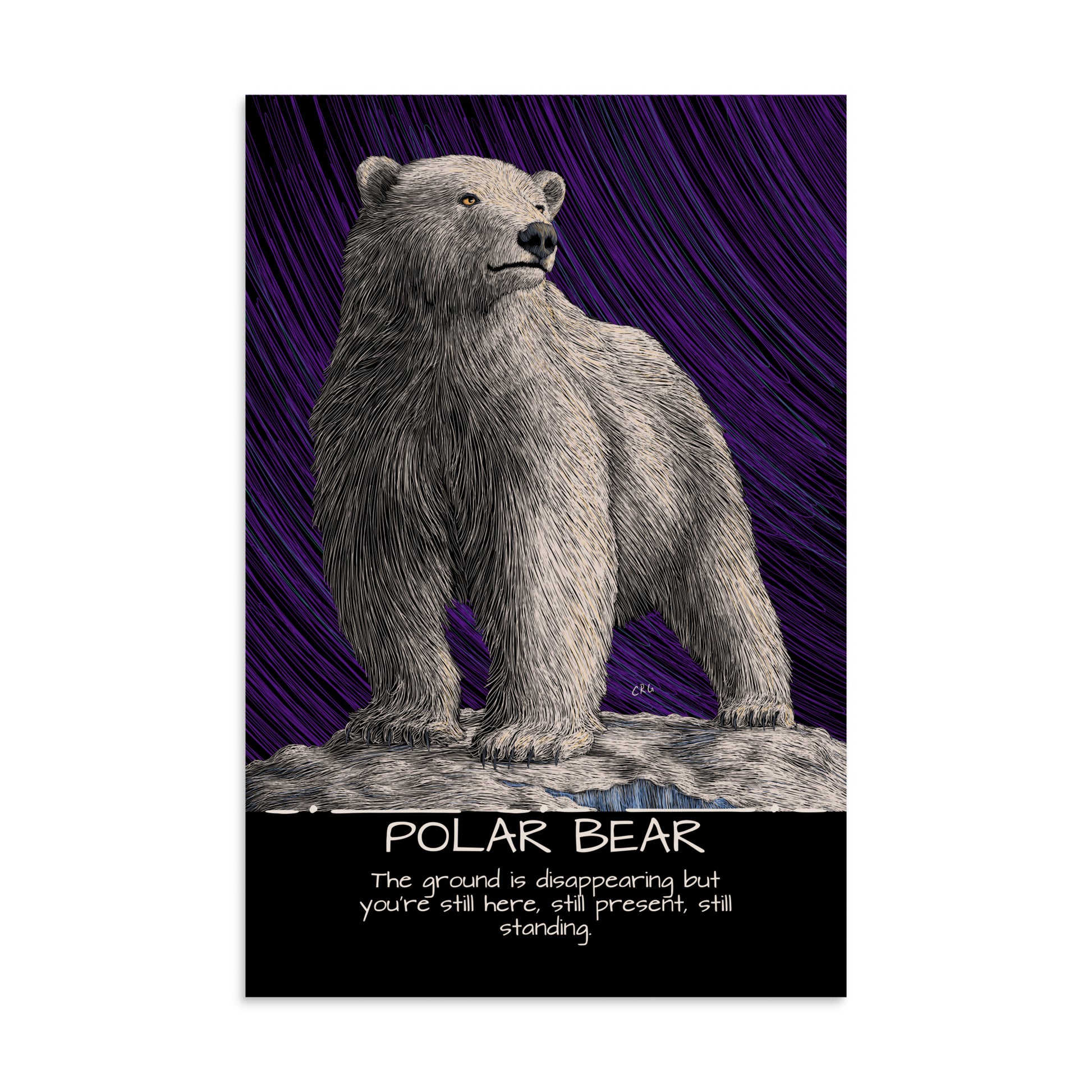 Polar Bear Art Print