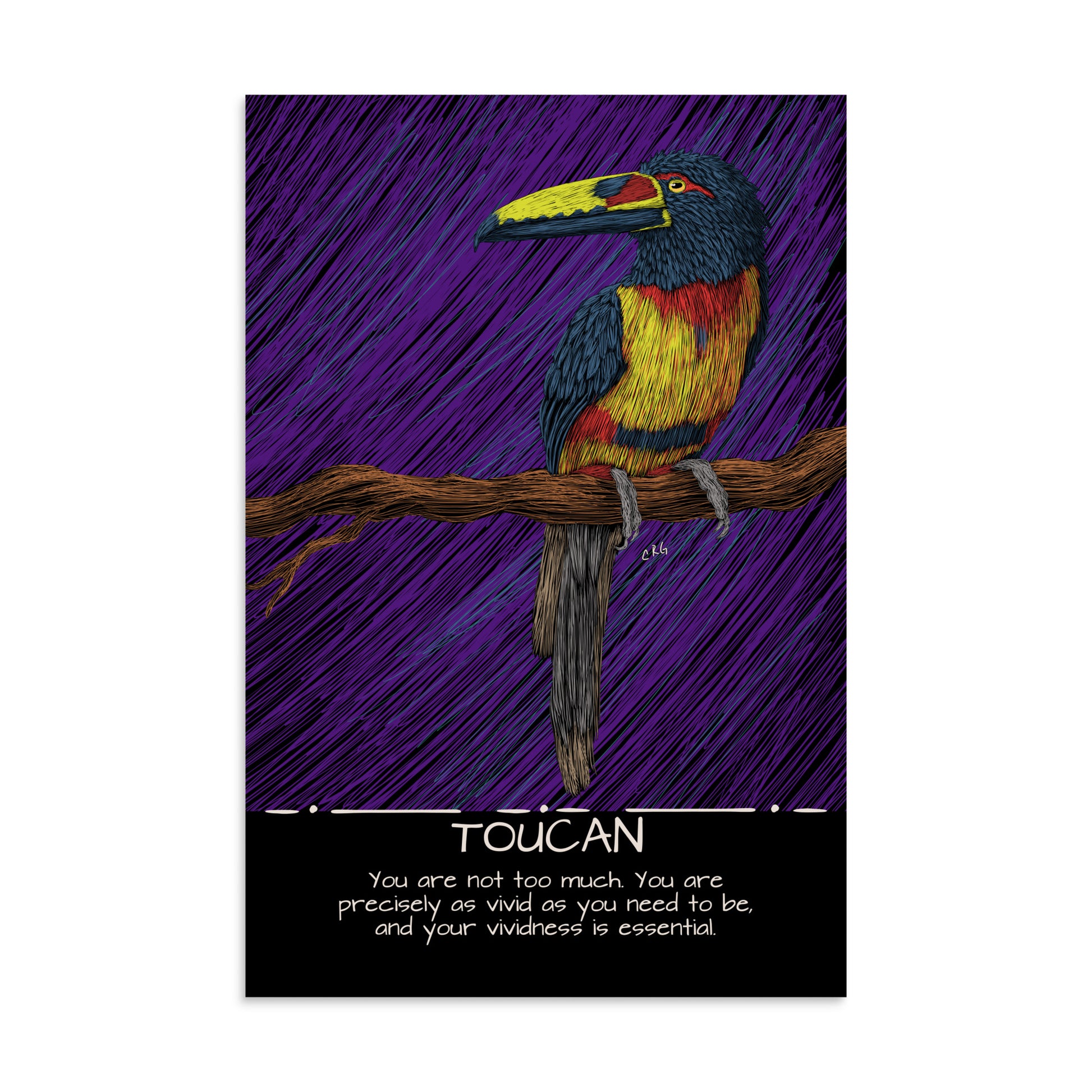 Toucan Art Print