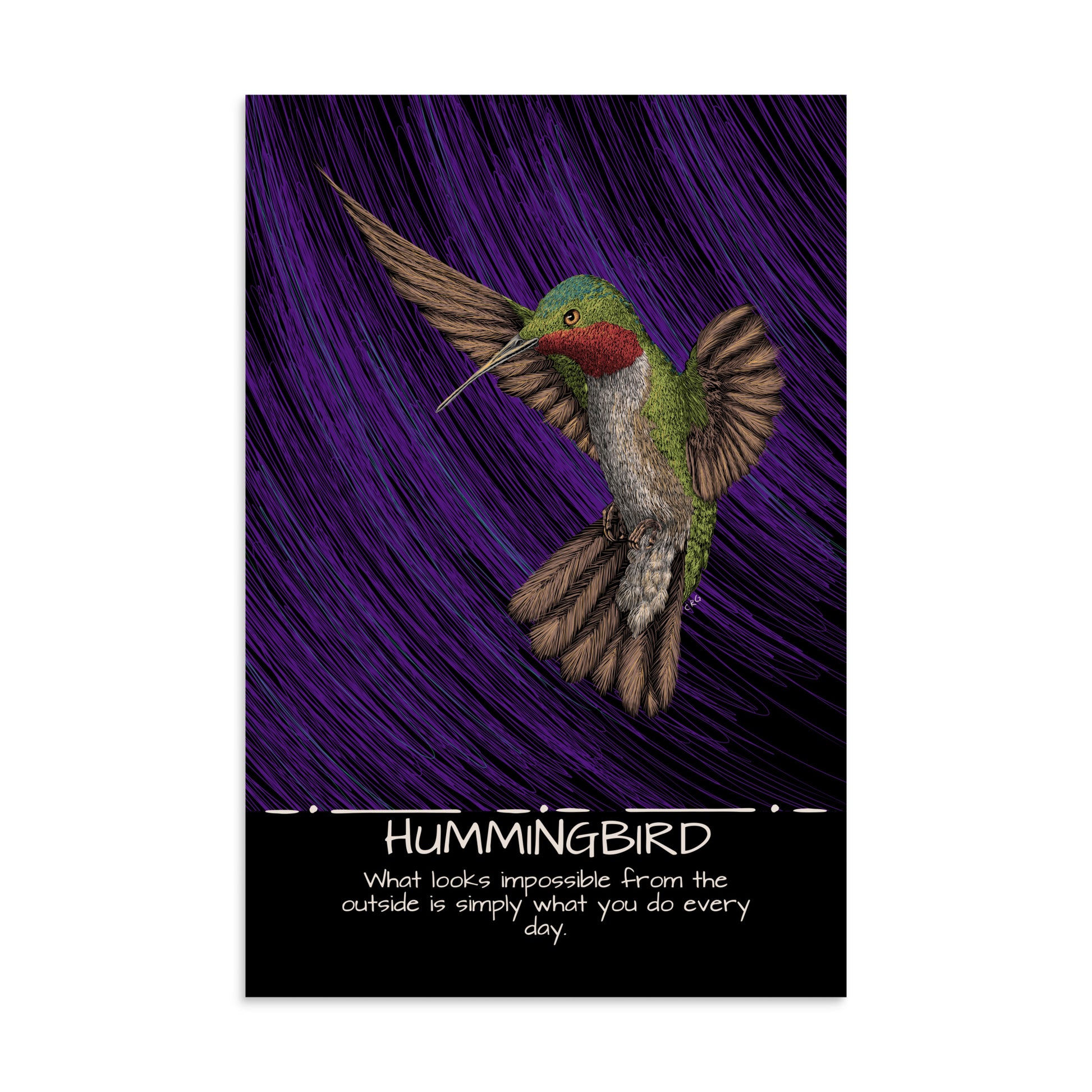 Hummingbird Art Print