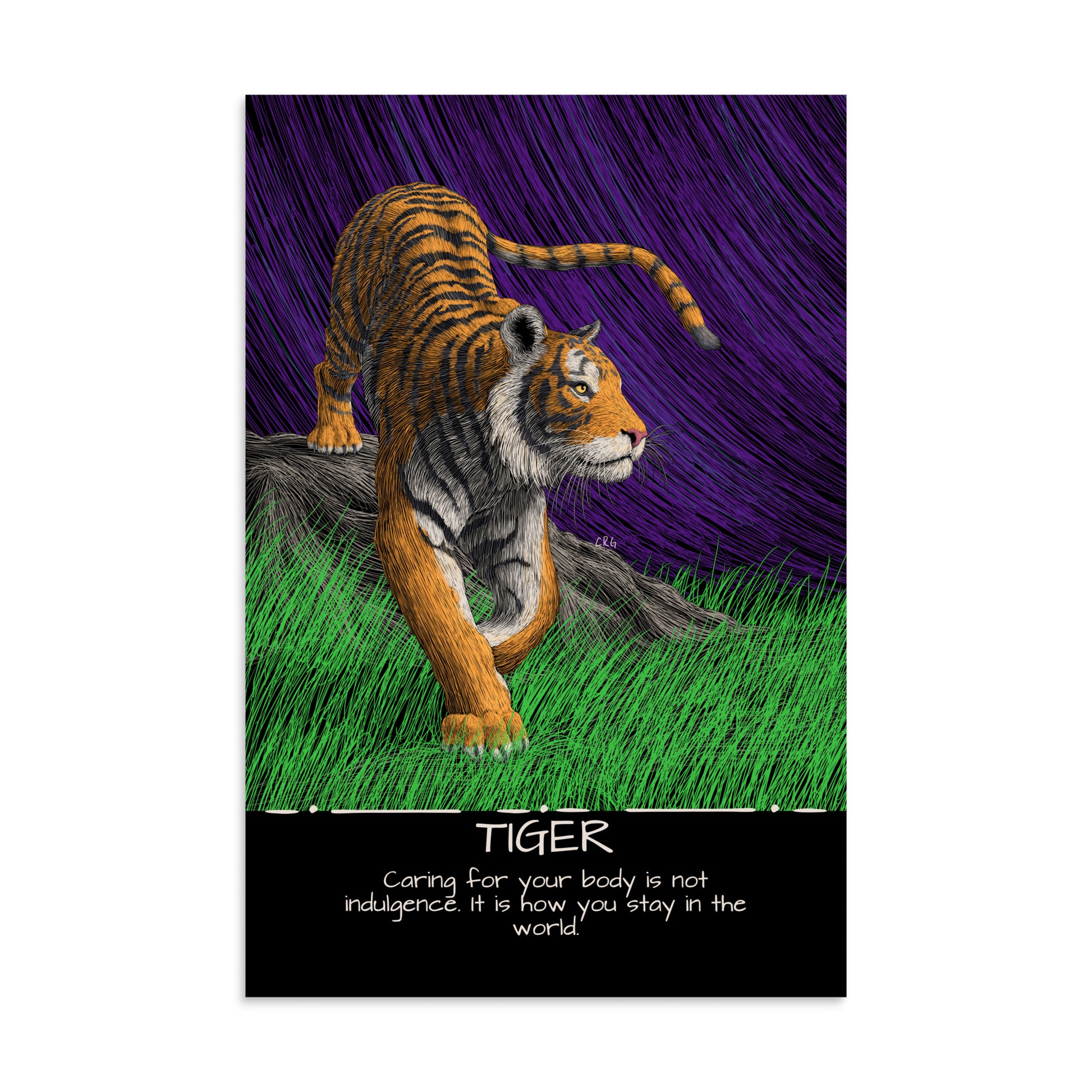 Tiger Art Print