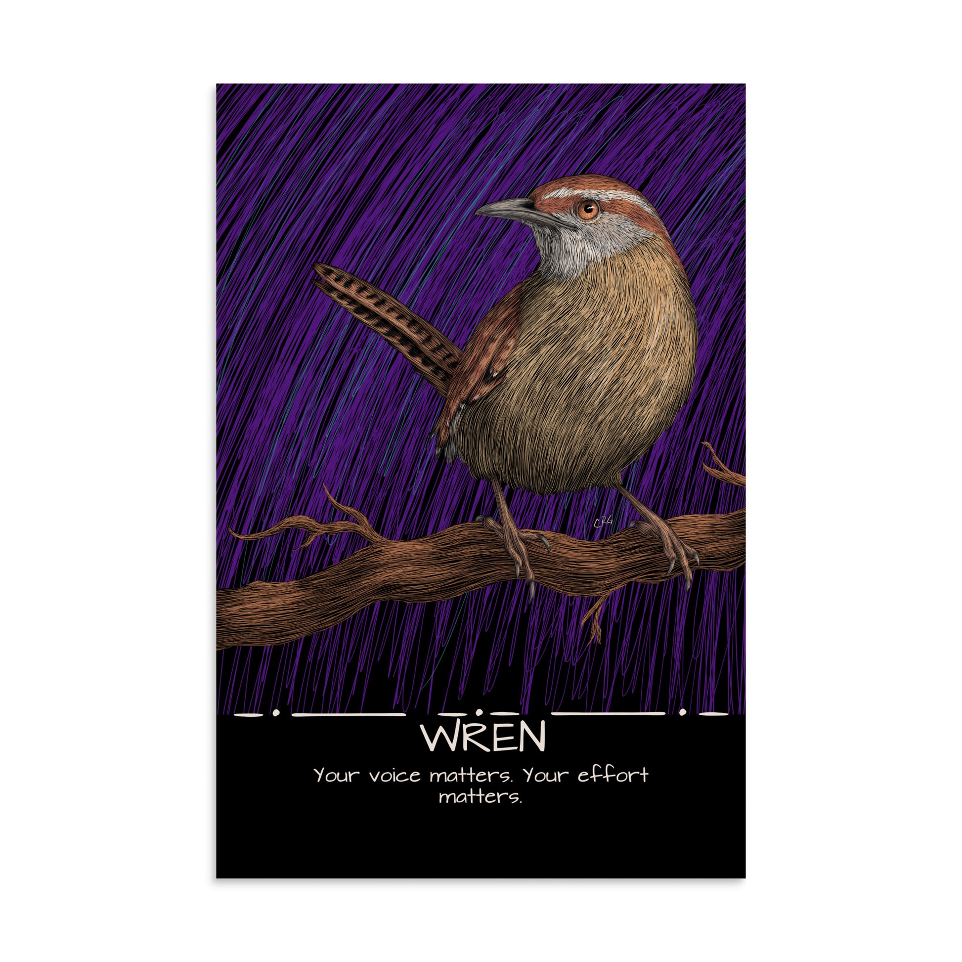 Wren Art Print
