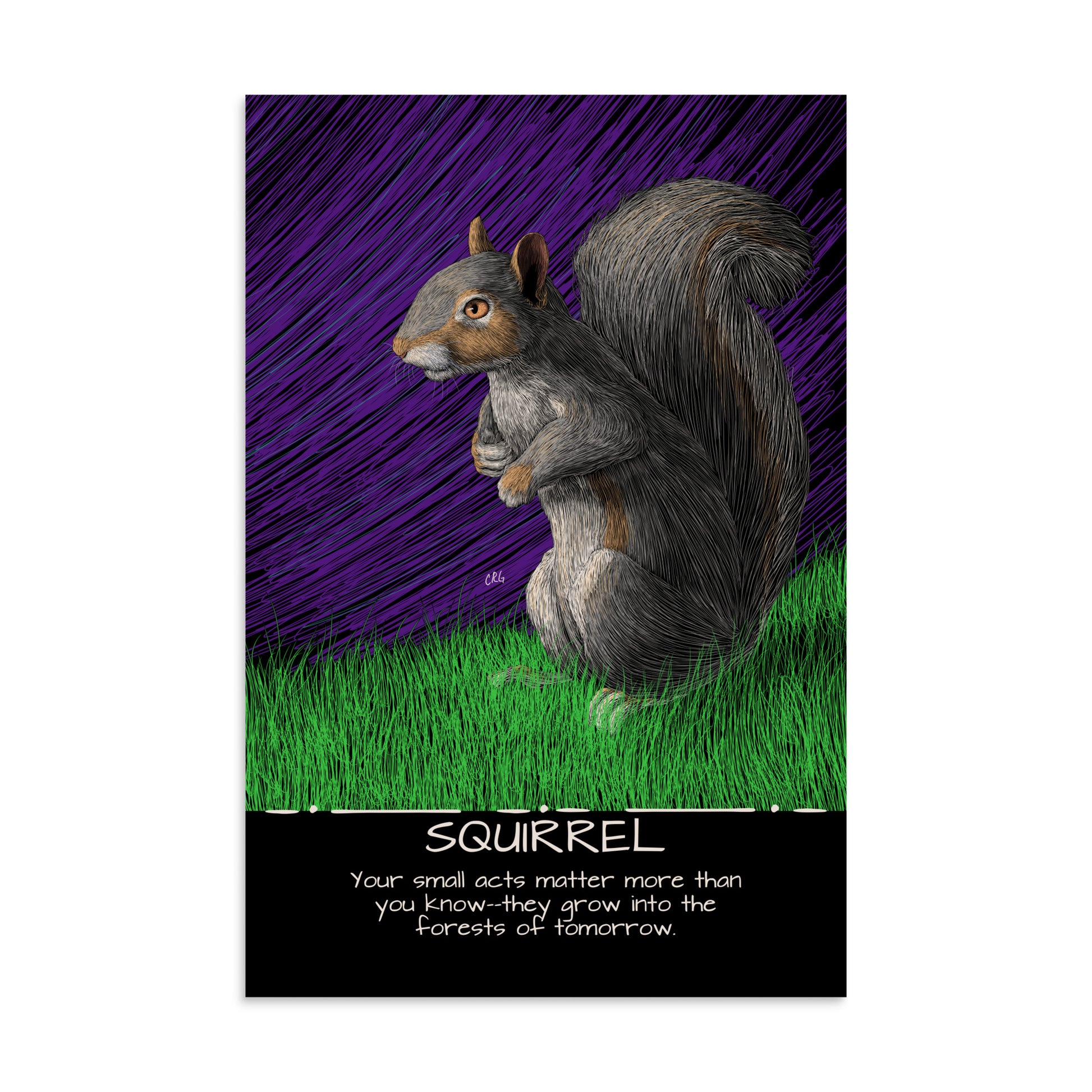 Squirrel Art Print